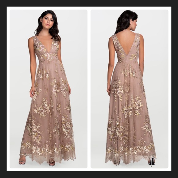 Azazie Dresses & Skirts - Azazie Blush Mark Romantic Adventure Embroidery
Tulle Maxi Dress